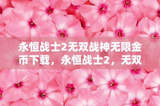 永恒战士2无双战神无限金币下载图片