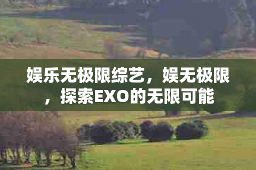 探索EXO的无限可能图片