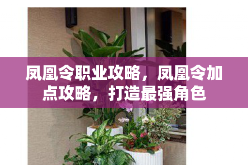 凤凰令职业攻略图片