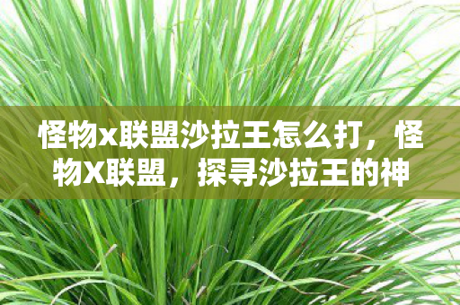 怪物x联盟沙拉王怎么打图片