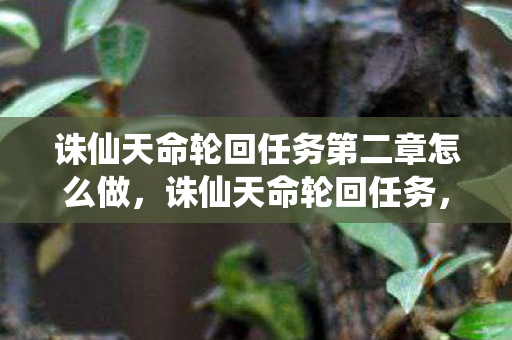 诛仙天命轮回任务第二章怎么做，诛仙天命轮回任务，探寻未知命运之旅