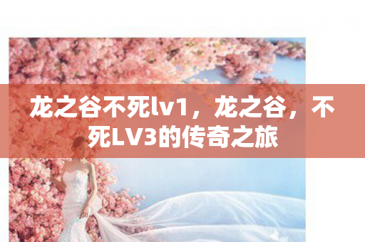 不死LV3的传奇之旅图片