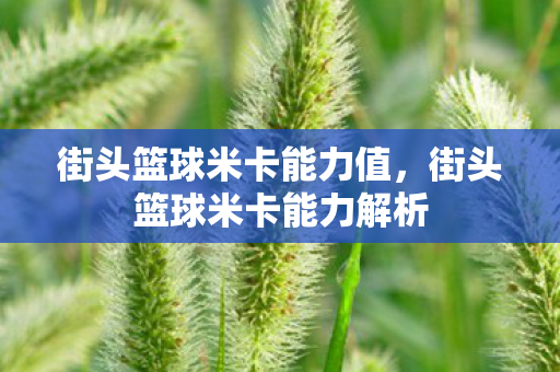 街头篮球米卡能力解析图片