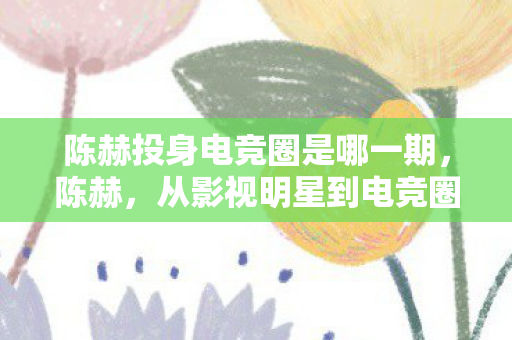 陈赫投身电竞圈是哪一期，陈赫，从影视明星到电竞圈的新星