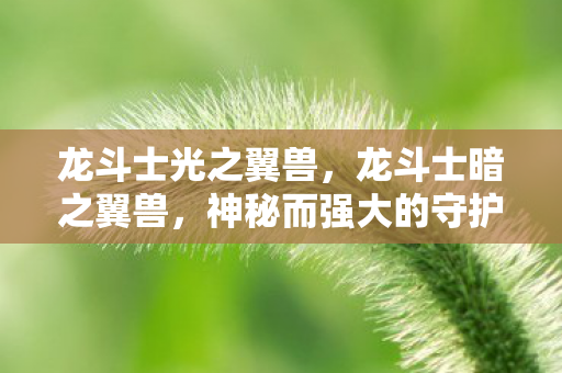 龙斗士光之翼兽,龙斗士暗之翼兽,神秘而强大的守护者 龙斗士光之翼兽,龙斗士暗之翼兽,神秘而强大的守护者