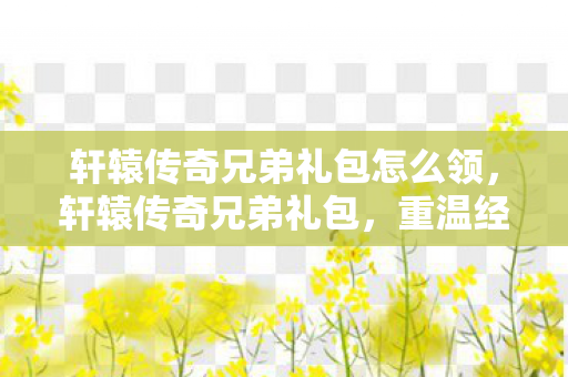 轩辕传奇兄弟礼包怎么领图片