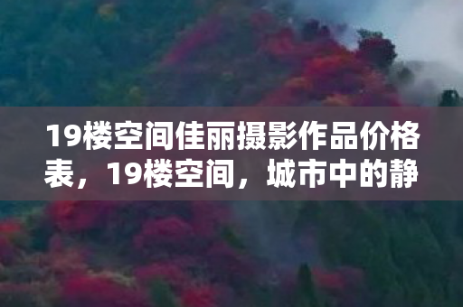 19楼空间佳丽摄影作品价格表，19楼空间，城市中的静谧绿洲