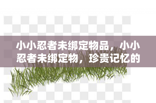 小小忍者未绑定物品图片