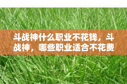 哪些职业适合不花费的玩家图片