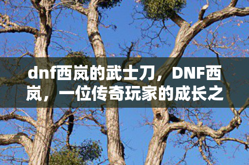 一位传奇玩家的成长之路图片