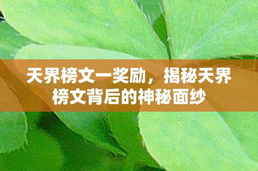 天界榜文一奖励，揭秘天界榜文背后的神秘面纱