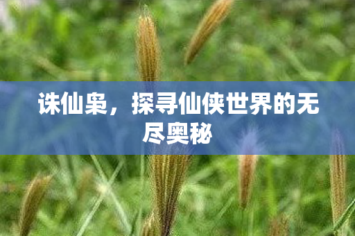 探寻仙侠世界的无尽奥秘图片