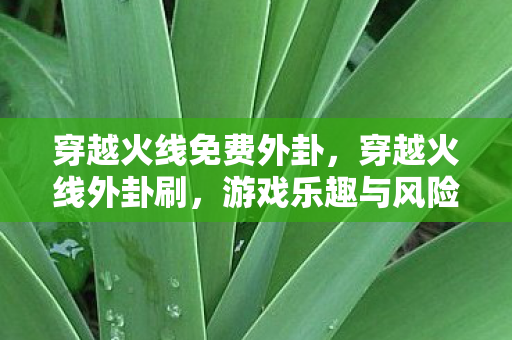 游戏乐趣与风险并存图片