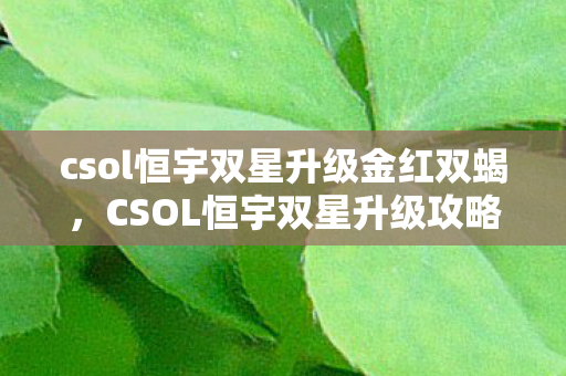 csol恒宇双星升级金红双蝎图片