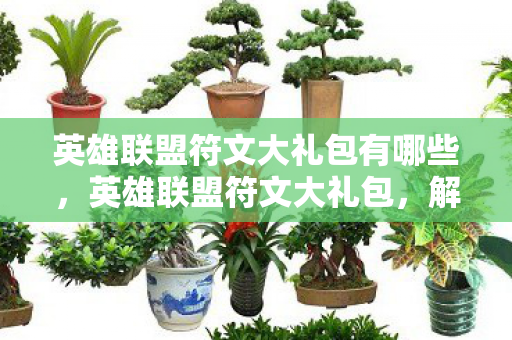 英雄联盟符文大礼包有哪些图片