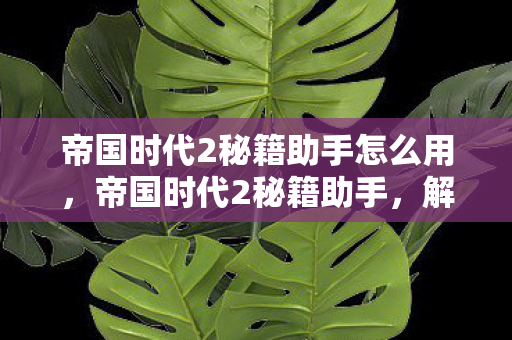 帝国时代2秘籍助手怎么用图片