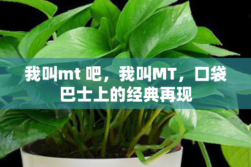 我叫mt 吧，我叫MT，口袋巴士上的经典再现