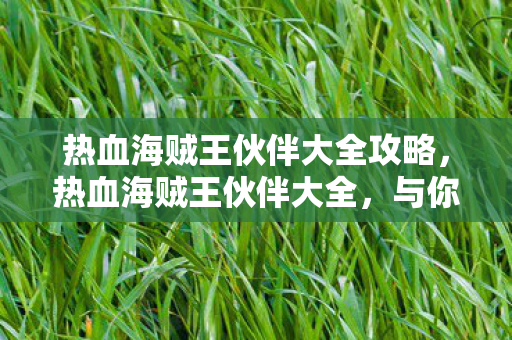 热血海贼王伙伴大全攻略,热血海贼王伙伴大全,与你并肩作战的伙伴们 热血海贼王伙伴大全攻略,热血海贼王伙伴大全,与你并肩作战的伙伴们