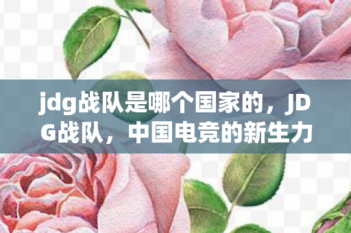 jdg战队是哪个国家的图片