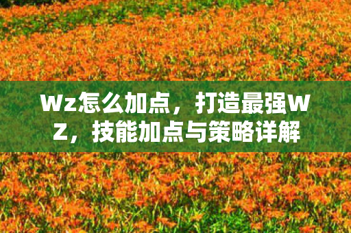 Wz怎么加点，打造最强WZ，技能加点与策略详解