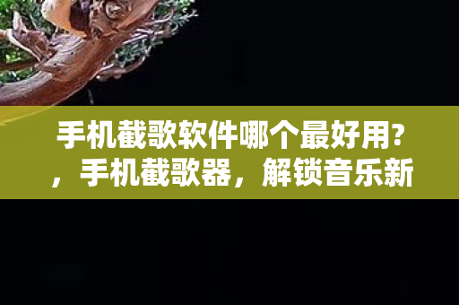 手机截歌软件哪个最好用?，手机截歌器，解锁音乐新玩法