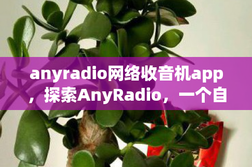 anyradio网络收音机app，探索AnyRadio，一个自由电台的无限可能