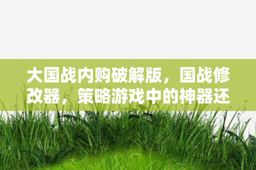 大国战内购破解版,国战修改器,策略游戏中的神器还是作弊工具? 大国战内购破解版,国战修改器,策略游戏中的神器还是作弊工具?