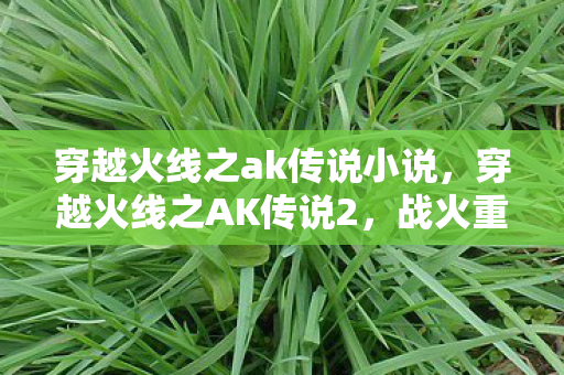 穿越火线之ak传说小说，穿越火线之AK传说2，战火重燃