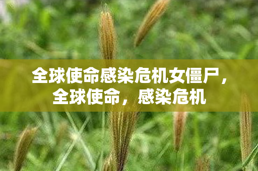 全球使命感染危机女僵尸，全球使命，感染危机