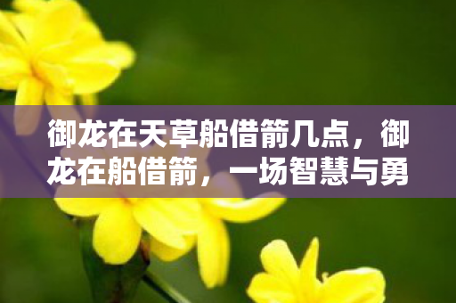 御龙在天草船借箭几点，御龙在船借箭，一场智慧与勇气的较量