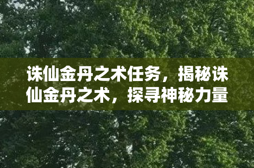 诛仙金丹之术任务，揭秘诛仙金丹之术，探寻神秘力量的奥秘