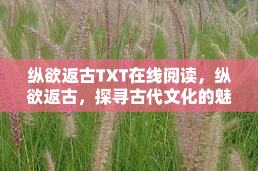 纵欲返古TXT在线阅读，纵欲返古，探寻古代文化的魅力与反思