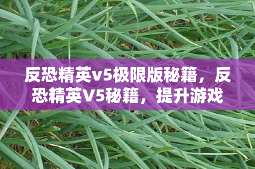 反恐精英v5极限版秘籍图片