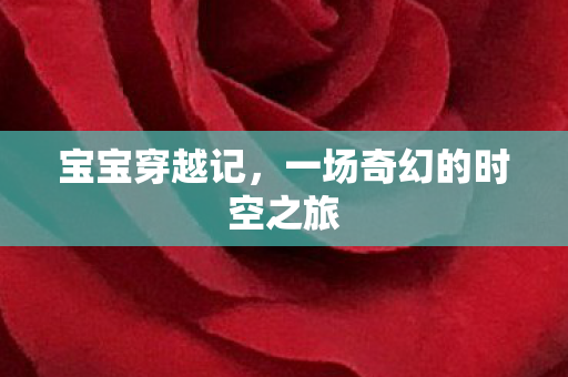 宝宝穿越记，一场奇幻的时空之旅