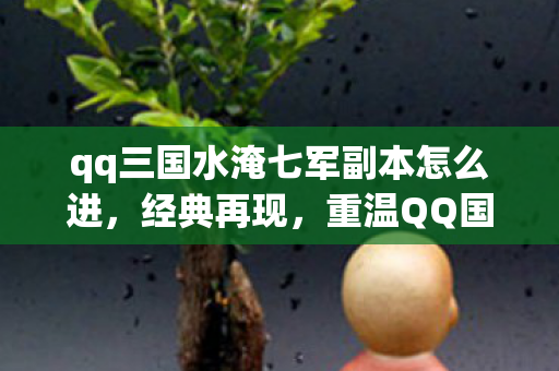 重温QQ国水淹七军副本的传奇故事图片
