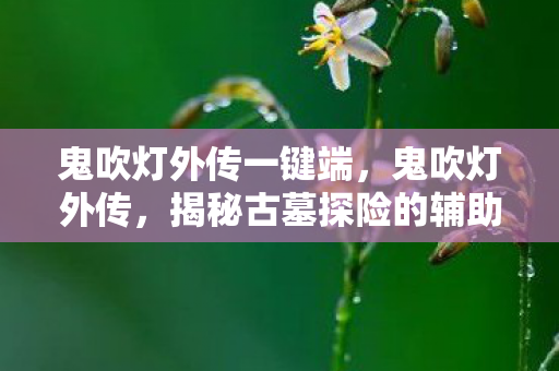 揭秘古墓探险的辅助图片