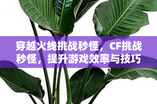 提升游戏效率与技巧图片