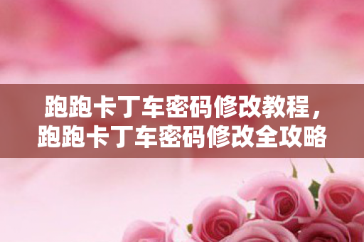 跑跑卡丁车密码修改全攻略图片