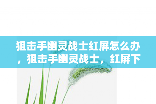 狙击手幽灵战士红屏怎么办图片