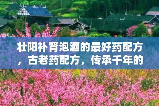 壮阳补肾泡酒的最好药配方图片