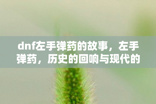 历史的回响与现代的启示图片