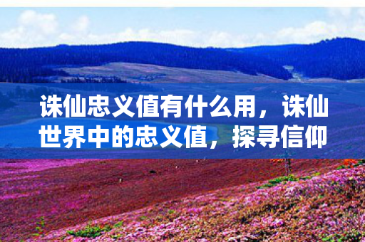 诛仙忠义值有什么用，诛仙世界中的忠义值，探寻信仰与忠诚的力量