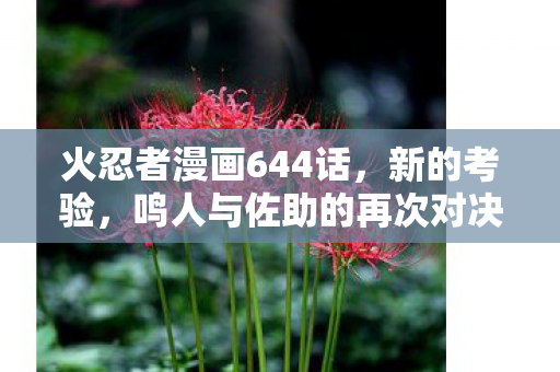 火忍者漫画644话，新的考验，鸣人与佐助的再次对决！