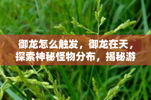 御龙怎么触发，御龙在天，探索神秘怪物分布，揭秘游戏世界的奥秘