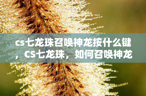 cs七龙珠召唤神龙按什么键图片