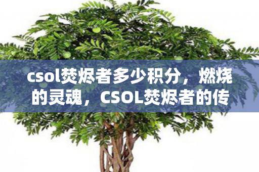 csol焚烬者多少积分，燃烧的灵魂，CSOL焚烬者的传奇故事