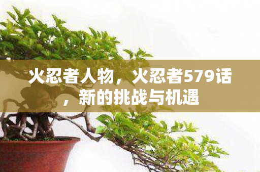 火忍者人物，火忍者579话，新的挑战与机遇