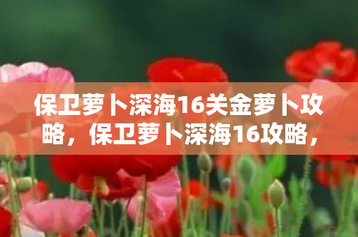 保卫萝卜深海16关金萝卜攻略,保卫萝卜深海16攻略,金萝卜布阵图详解 保卫萝卜深海16关金萝卜攻略,保卫萝卜深海16攻略,金萝卜布阵图详解