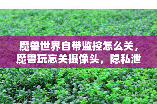 魔兽世界自带监控怎么关,魔兽玩忘关摄像头,隐私泄露的警钟 魔兽世界自带监控怎么关,魔兽玩忘关摄像头,隐私泄露的警钟