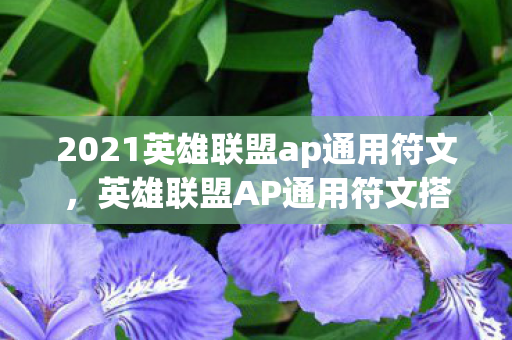 2021英雄联盟ap通用符文,英雄联盟AP通用符文搭配指南,提升法术伤害的秘诀 2021英雄联盟ap通用符文,英雄联盟AP通用符文搭配指南,提升法术伤害的秘诀